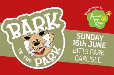 bark in the park