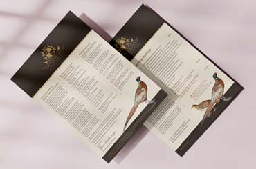 greystone shoot marketing